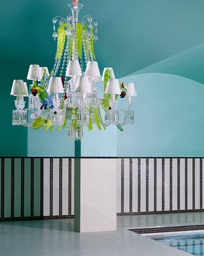 Etrange Zénith Parrots